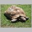 za0140.html
